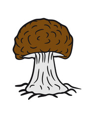 Brown mushroom roots soil