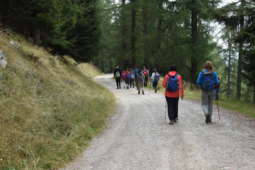 Fototapeta premium escursione in montagna camminare nordic walking 