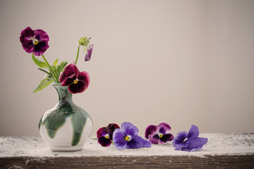 beautiful violet flowers on white background