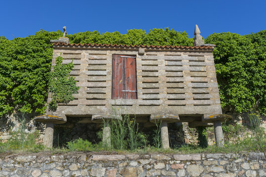 H&oacute;rreo gallego.