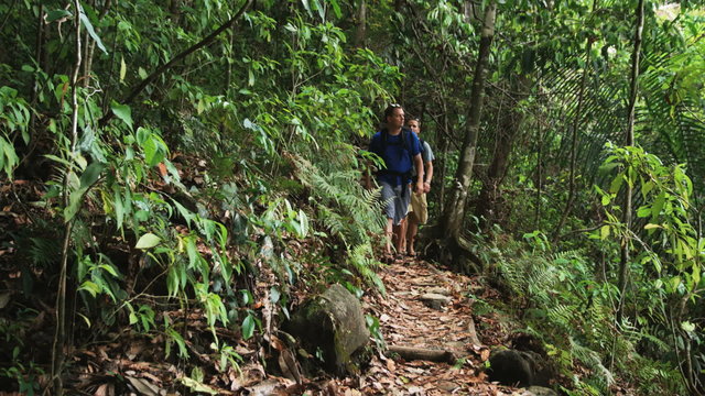 two backpackers walking through the rainforest