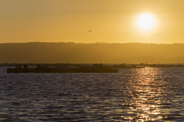 Bateas de mejillones.