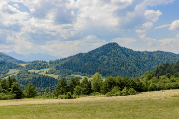 Fototapeta na wymiar Gebirgslandschaft in der Hohen Tatra Polen