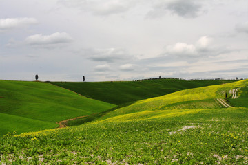 colline di Val d'Orcia