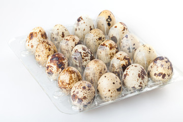 Quail eggs in a transparent plastic container