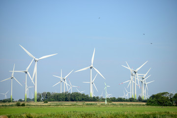 Fototapeta premium Windräder