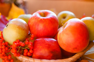 Red ripe apples in a basket in the sunlight