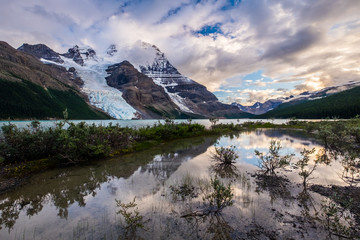 Shrubs reflect the sunset in a still pool next to Berg Lake, Ber