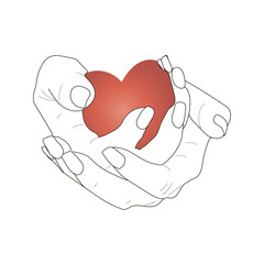 Hends with heart on white background