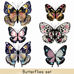 Fototapeta na wymiar Set of vector realistic colorful butterflies for design
