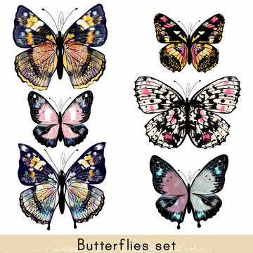 Set of vector realistic colorful butterflies for design