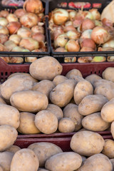 Group of Potatoes on the market