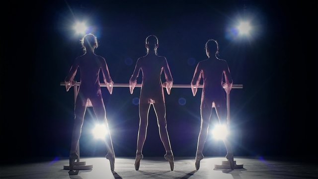 little ballet girls in  pointe shoes posing at ballet barre