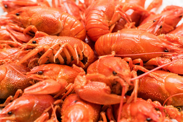 Photo of boiled crayfish on a plate