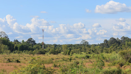 mobile phone tower located in the countryside 