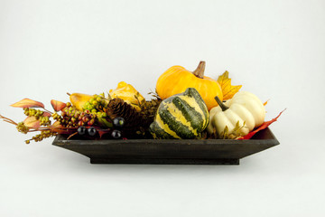 Gourds & Autumn Leaves on a White Background