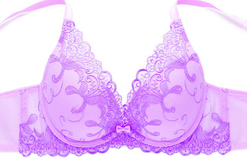 Purple Lace Bra on white background
