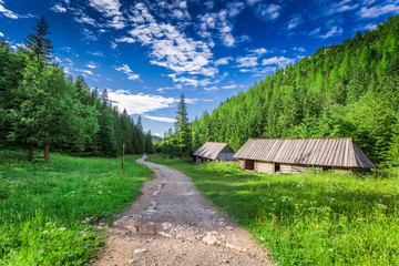 Valley in the mountains at summer