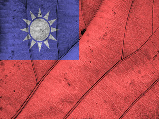 Taiwan flag leaf texture