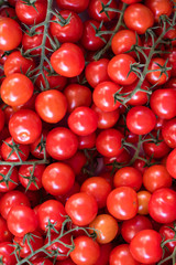 Tomato Background