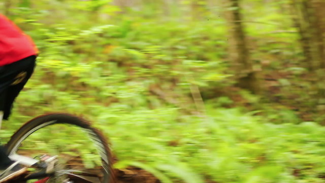 Mountain Biking Forest Trail. Outdoor Sports Healthy Lifestyle. Young Fit Man in Red Shirt Rushes Down Mountain Bike Trail Through a Lush Forest. Slow Pan Shot with Steadicam. Summer Extreme Sports.