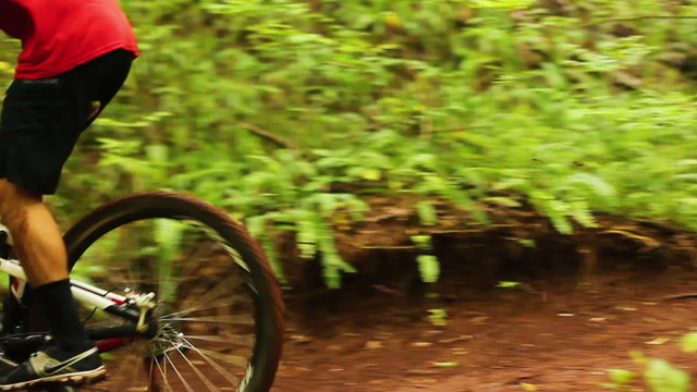 An extreme mountain biker speeds down a bike trail in the forest during the day. Outdoor Sports Healthy Lifestyle. Slow Pan Shot with Steadicam. Summer Extreme Sports.