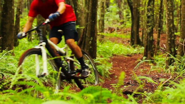 Mountain Biking Forest Trail. Outdoor Sports Healthy Lifestyle. Slow Pan Shot with Steadicam Through Leaves and Ferns. Summer Extreme Sports. Shallow Depth of Field.