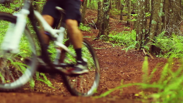 Mountain Biking Forest Trail. Outdoor Sports Healthy Lifestyle. Young Fit Man Weaves Through Trees on Dirt Trail. Slow Pan Shot with Steadicam. Summer Extreme Sports.