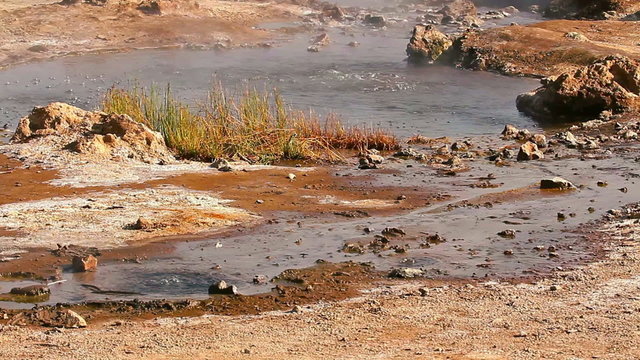 Lake Bogoria is an alkaline lake in a volcanic region in Kenya and it is part of a national reserve. It is famous for flamingos and hot springs.
