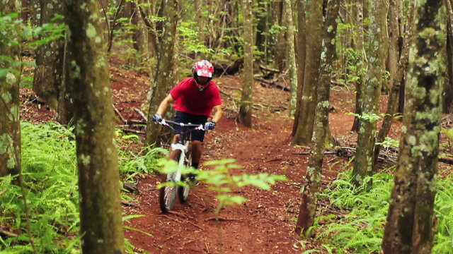 Mountain Biking Forest Trail. Outdoor Sports Healthy Lifestyle. Young Fit Man in Red Shirt Rushes Down Mountain Bike Trail Through a Lush Forest. Slow Pan Down Shot with Steadicam. 