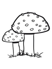 2 red mushroom points toadstools toxic grass forest