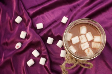 Obraz na płótnie Canvas Hot chocolate with marshmallow