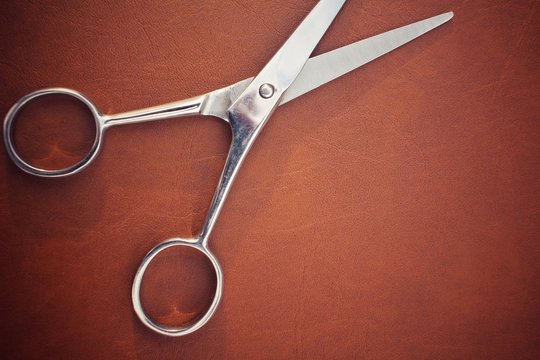 Hair Cutting Shears