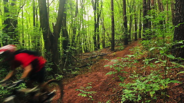 Mountain Biking Dirt Jump in Forest. Outdoor Sports Healthy Lifestyle. Young Fit Man in Red Shirt Rushes Down Mountain Bike Trail Through a Lush Forest. Slow Pan Shot with Steadicam. 