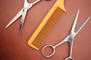 Hair cutting shears and comb