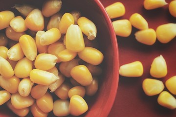 Corn seeds