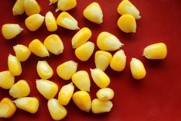 Corn seeds