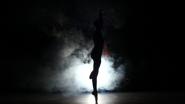  ballerina in dress large hall. slow motion. smoke