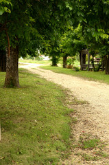 way in park