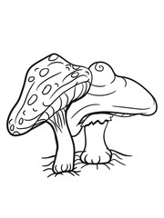 2 fliegenpilze red pair of points Pilzwald small