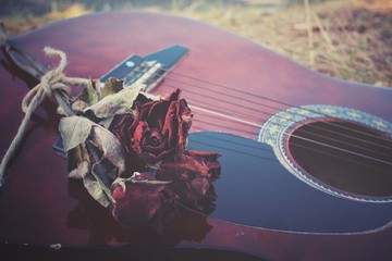 Guitar with dried rose