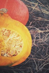Fresh pumpkins on dried grass