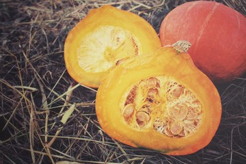 Fresh pumpkins on dried grass