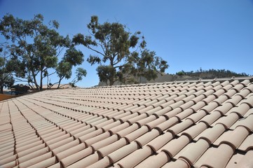 The tiled roof