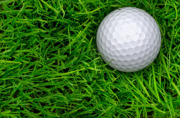 Single Golf Ball Laying in Semi Rough