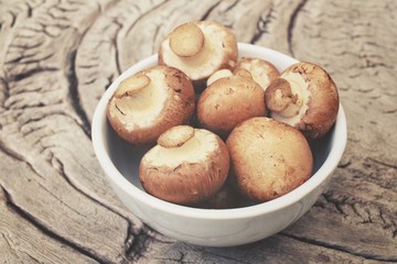 Champignon mushrooms
