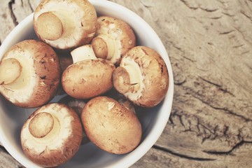 Champignon mushrooms