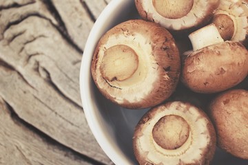 Champignon mushrooms