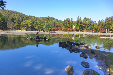 世界遺産　毛越寺　紅葉（岩手県平泉町）