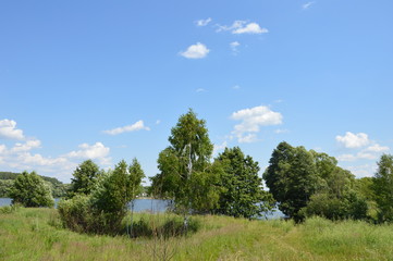 Obraz premium Брянская природа